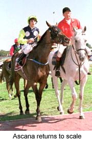 7ascanatoscale.jpg (13506 bytes)