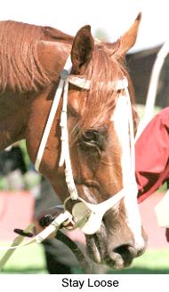 8stayloose2.jpg (14391 bytes)