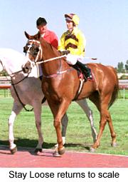 8stayloosetoscale.jpg (12354 bytes)