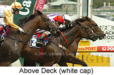 Above Deck (14772 bytes)