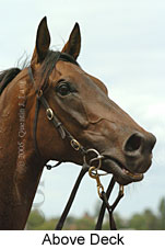 Above Deck (14772 bytes)