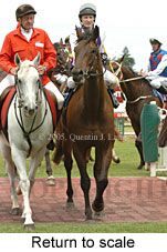 Return to scale (14008 bytes)