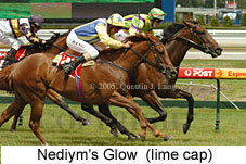 Nediym's Glow (14772 bytes)