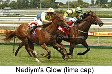 Nediym's Glow (14772 bytes)