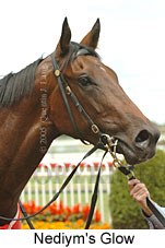 Nediym's Glow (14772 bytes)