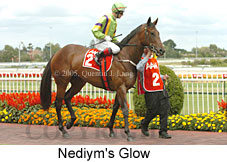 Nediym's Glow (14772 bytes)