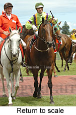 Return to scale (14008 bytes)