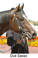 Due Sasso (14772 bytes)