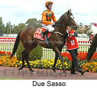 Due Sasso (14772 bytes)