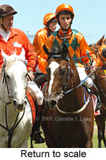 Return to scale (14008 bytes)