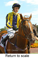 Return to scale (14008 bytes)