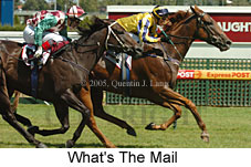 What's The Mail (14772 bytes)