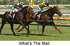 What's The Mail (14772 bytes)