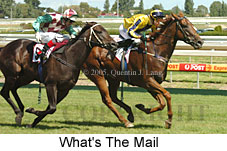 What's The Mail (14772 bytes)