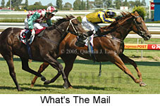 What's The Mail (14772 bytes)