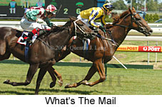 What's The Mail (14772 bytes)