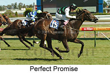 Perfect Promise (19622 bytes)