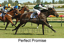 Perfect Promise (14772 bytes)