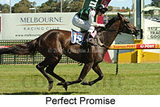 Perfect Promise (14772 bytes)