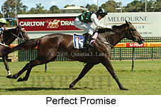 Perfect Promise (14772 bytes)