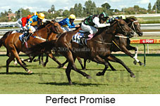 Perfect Promise (14772 bytes)