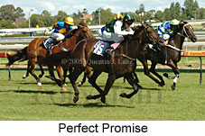 Perfect Promise (14772 bytes)