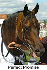 Perfect Promise (14772 bytes)