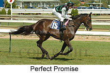 Perfect Promise (14772 bytes)