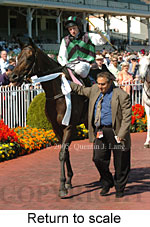 Return to scale (14008 bytes)