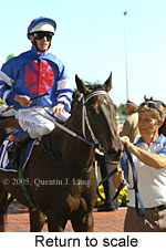 Return to scale (14008 bytes)