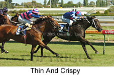 Thin And Crispy (14772 bytes)