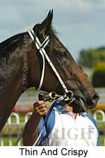 Thin And Crispy (14772 bytes)