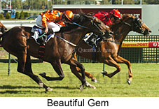 Beautiful Gem (14772 bytes)