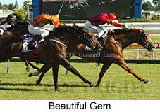 Beautiful Gem (14772 bytes)