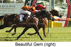 Beautiful Gem (14772 bytes)