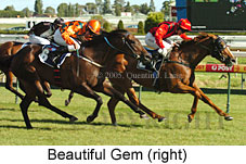 Beautiful Gem (14772 bytes)