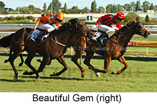 Beautiful Gem (14772 bytes)