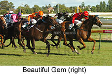 Beautiful Gem (14772 bytes)