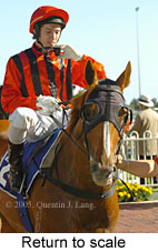 Return to scale (14008 bytes)