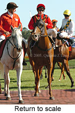 Return to scale (14008 bytes)