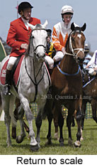 Return to scale (14817 bytes)