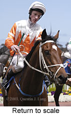 Return to scale (13239 bytes)