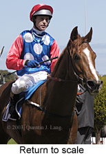 Return to scale (13517 bytes)