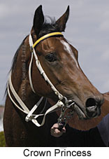 Crown Princess (10719 bytes)