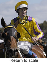 Return to scale (14008 bytes)