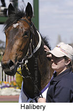 Halibery (11729 bytes)