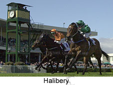 Halibery (13176 bytes)