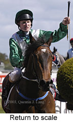 Return to scale (12737 bytes)