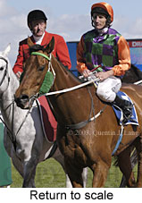 Return to scale (16064 bytes)