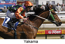 Yakama (15729 bytes)